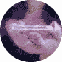 Data Transcription