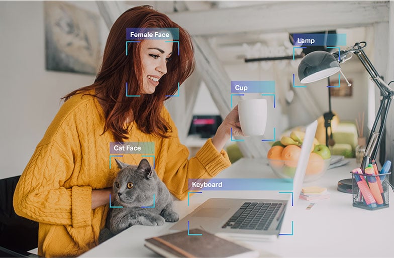 Data Label &Amp; Annotation