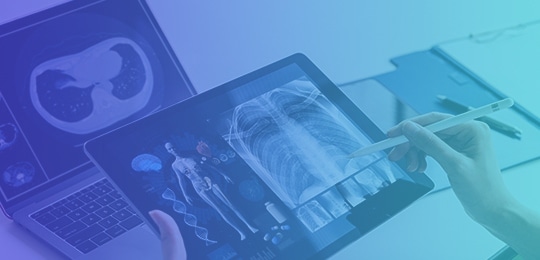 Medical Annotation Platform
