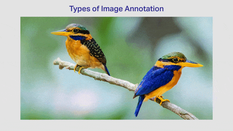 Image Annotation &Amp; Image Labeling