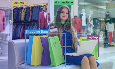 Data Annotation