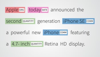 Entity Annotation