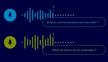 Multilingual Audio Data Services