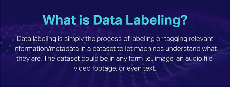 What Is Data Labeling