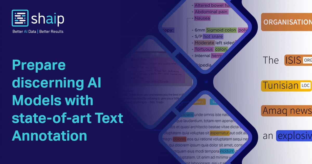 Text Annotation