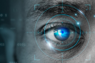 Image And Video Data Catalog &Amp; Licensing