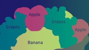 Semantic Annotation
