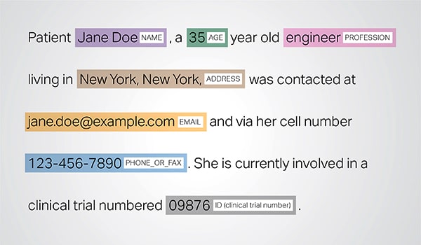 Phi Redaction Api