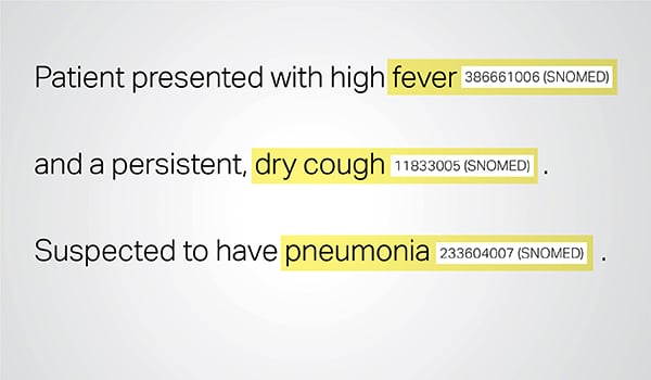 Snomed Ct Api
