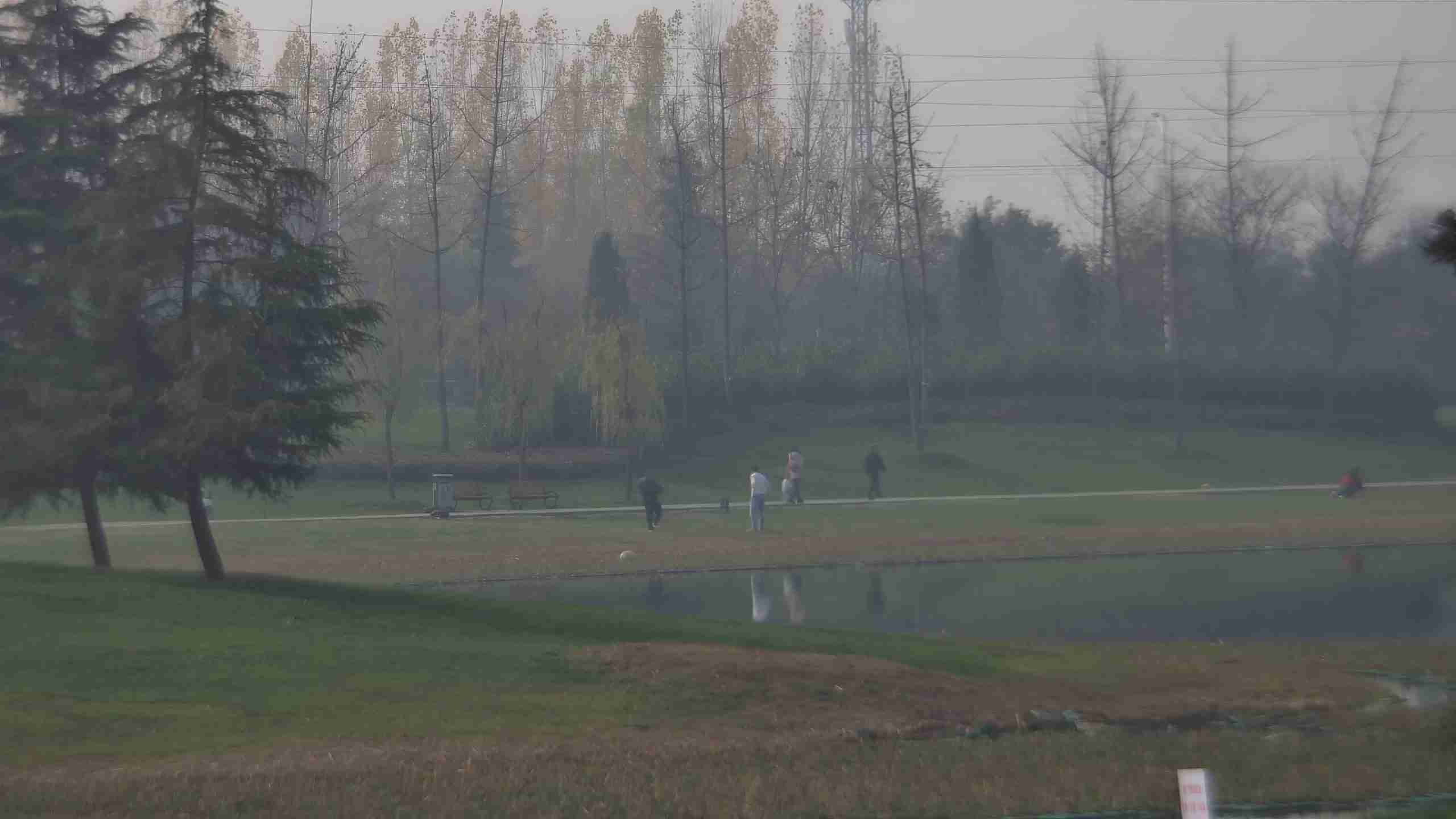 Набір довгострокових даних про пішоходів