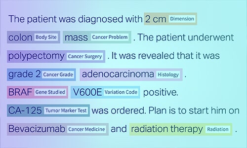 Expert data annotation and labelling