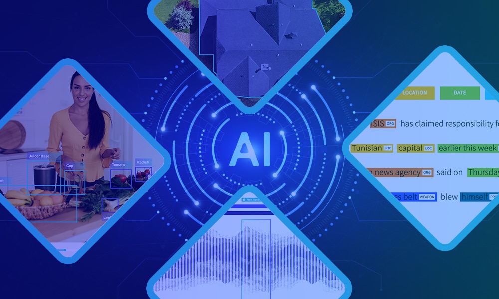 Multimodal Data Labeling