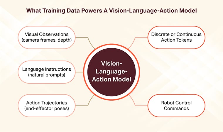 Training data vision language action model