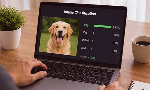 Image classification