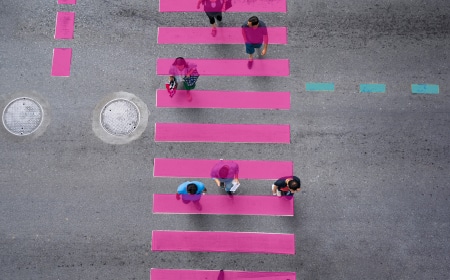 Polylines (lines)