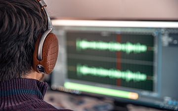 Audio and speech data catalog